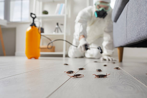 Post-Treatment Bed Bug Interceptor Monitoring in Cheboygan